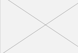 shapeimage_19_link_0