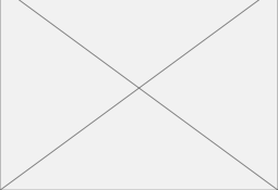 shapeimage_21_link_0